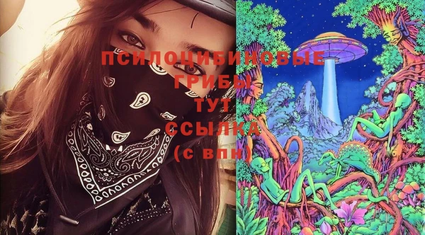 дурь Сосновоборск