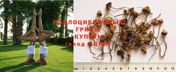прущая мука Верея
