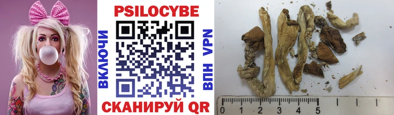 Галлюциногенные грибы Psilocybine cubensis  Пикалёво 